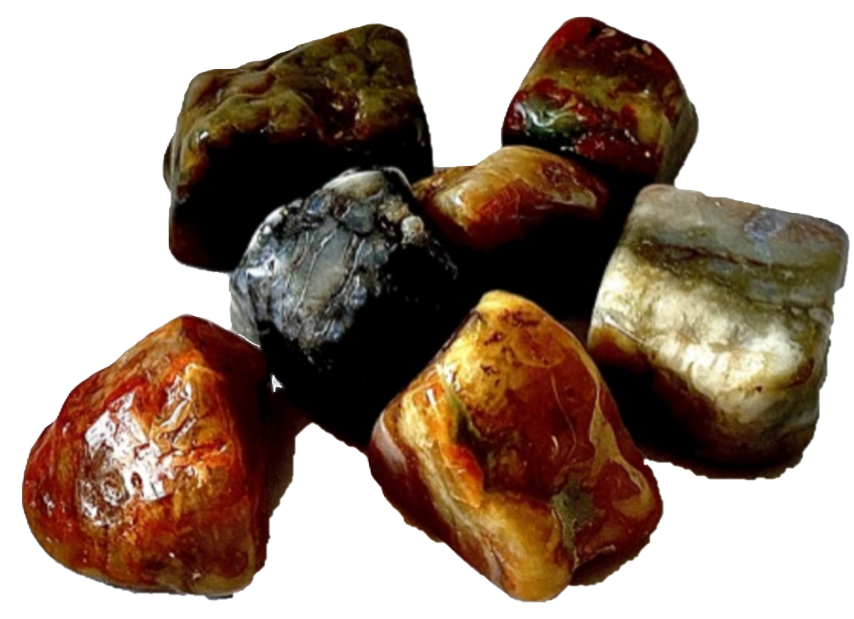 Coprolite