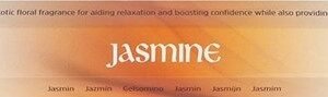 elements jasmine incense sticks