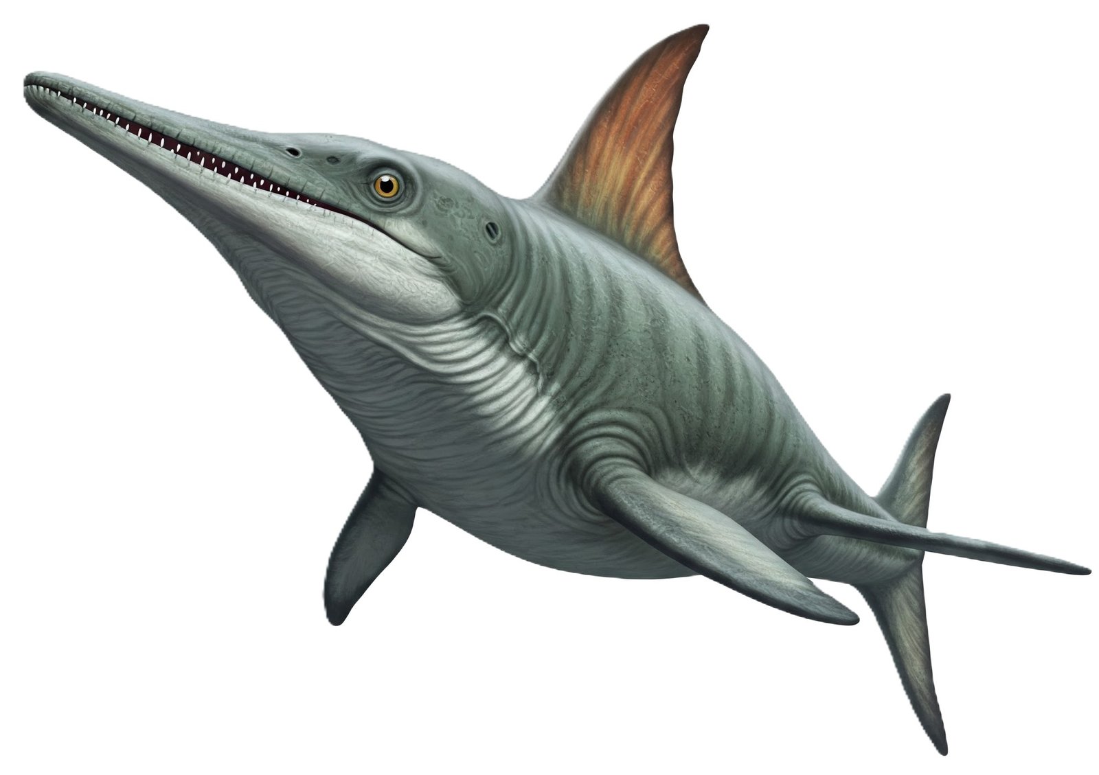 ichthyosaur