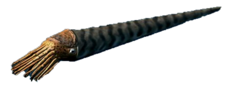 ortho specimen