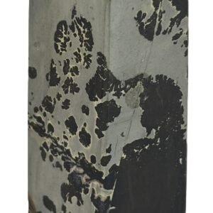 picture jasper 21