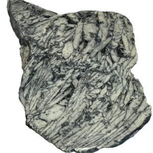 Pinolite pinc 1