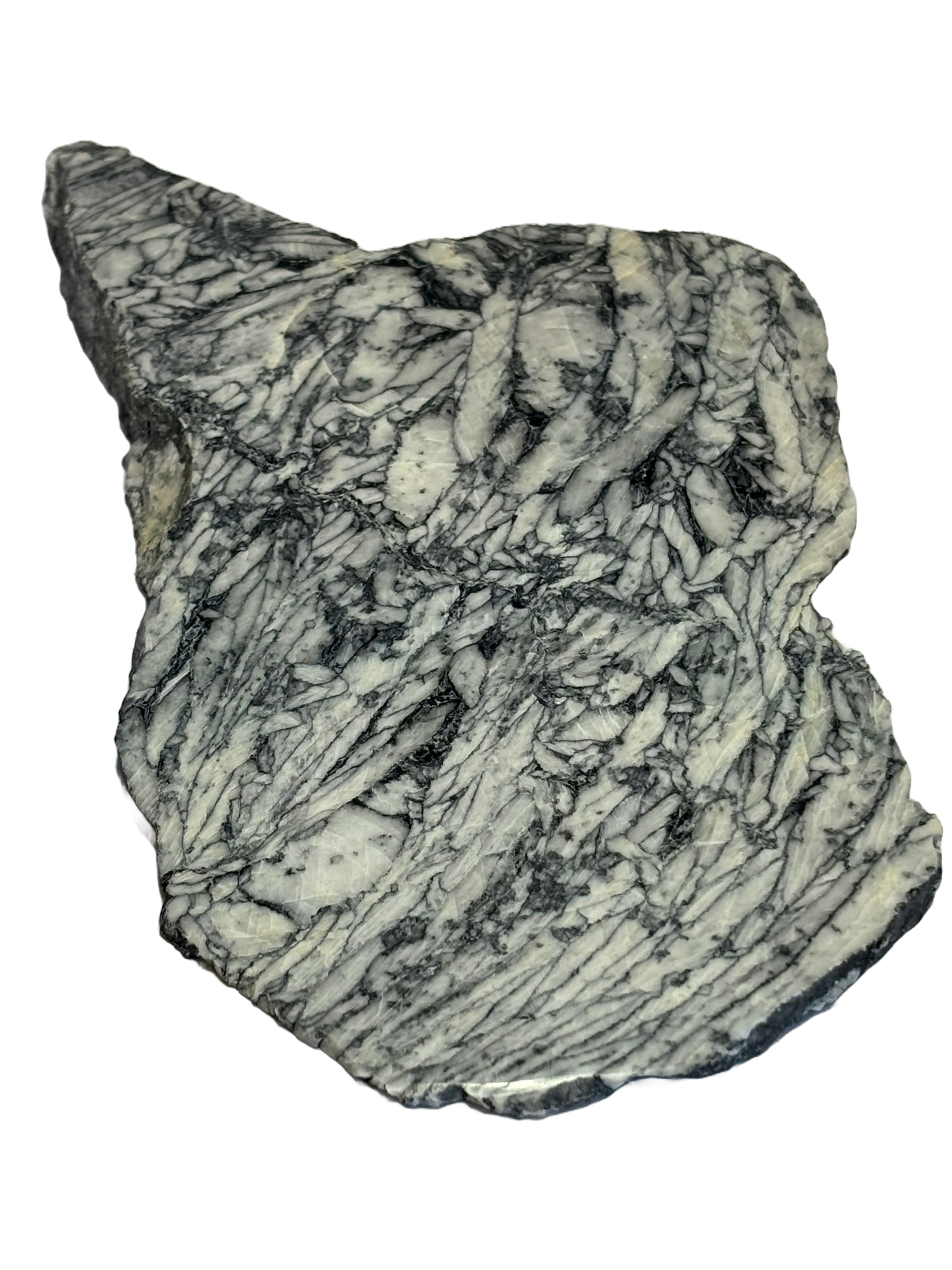 Pinolite pinc 1 sians emporium Pinolite pinc 1