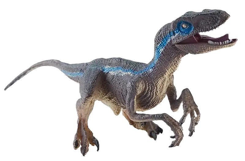 raptor