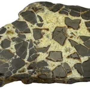 Septarian 51 sians emporium Septarian 51