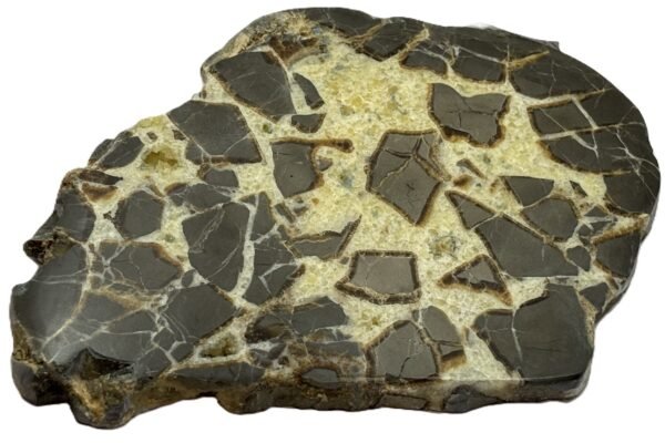 Septarian 51 sians emporium Septarian 51