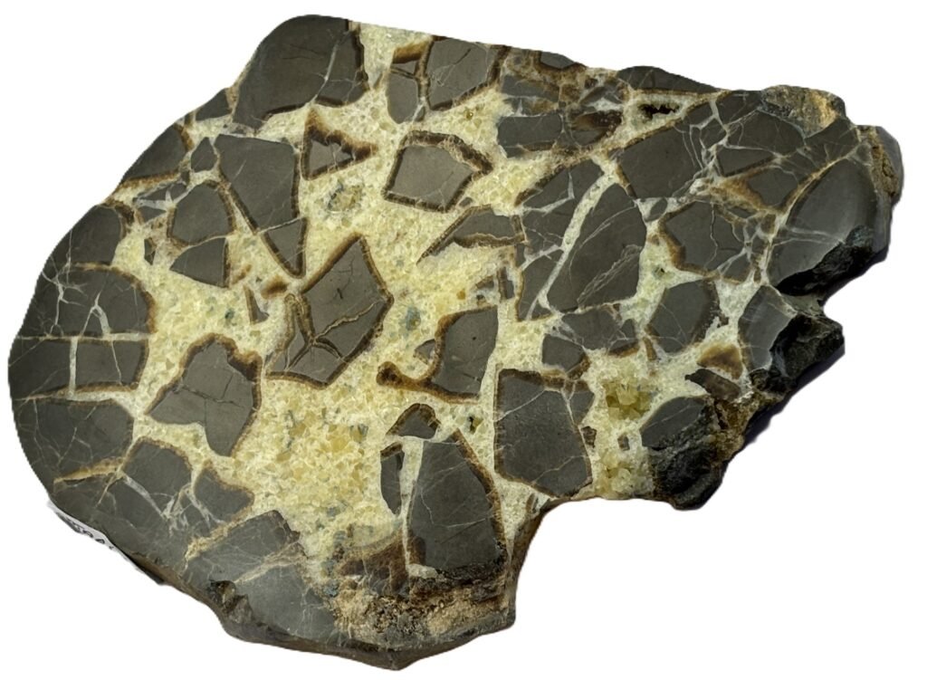 Septarian 52 sians emporium Septarian 52