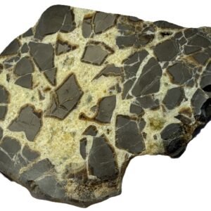 Septarian 52 sians emporium Septarian 52