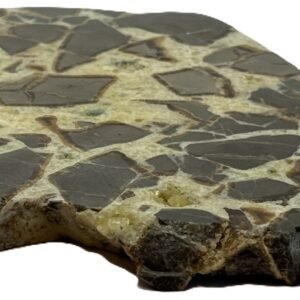 Septarian 53 sians emporium Septarian 53