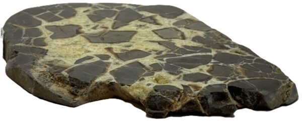 Septarian 53 sians emporium Septarian 53