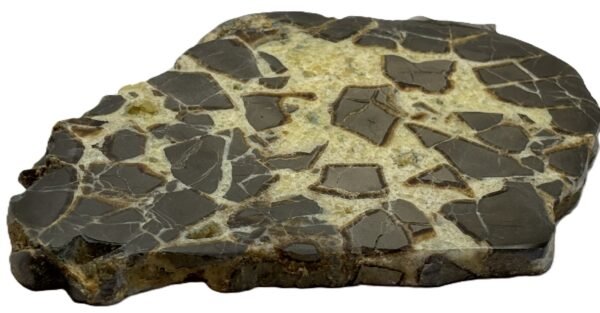 Septarian 54 sians emporium Septarian 54