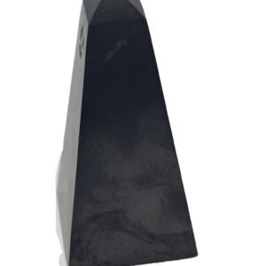 shungite 121