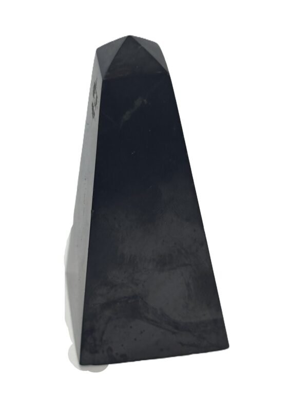 Shungite 121 sians emporium Shungite 121