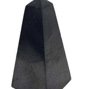 Shungite 123