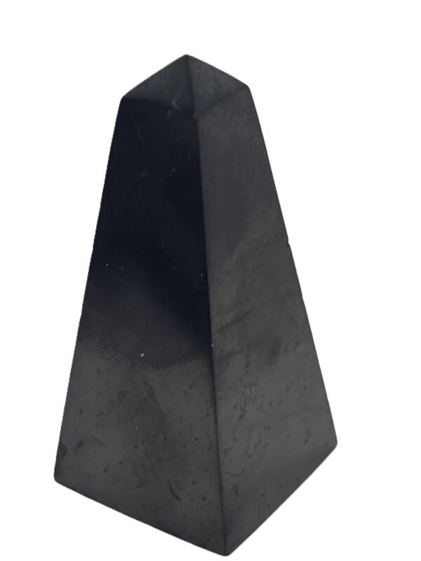 Shungite 123 sians emporium Shungite 123