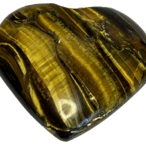 Tigers eye teye l1