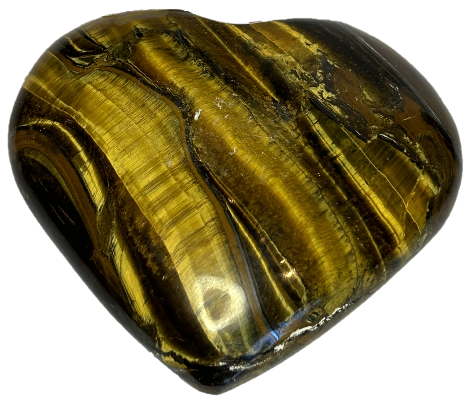 Tigers eye teye l1 sians emporium Tigers eye teye l1