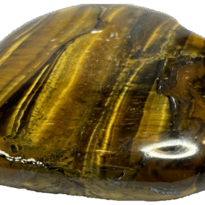 Tigers eye teye l3 sians emporium Tigers eye teye l3