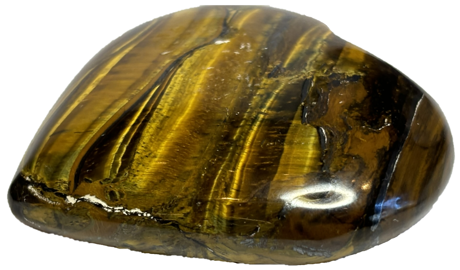Tigers eye teye l3 sians emporium Tigers eye teye l3