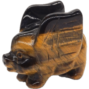 Tigers eye flying pig 1