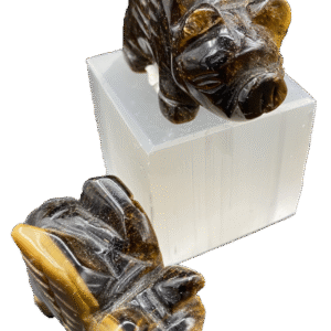 Tigers eye flying pig 4