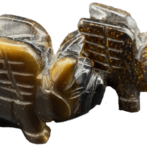 Tigers eye flying pig 5