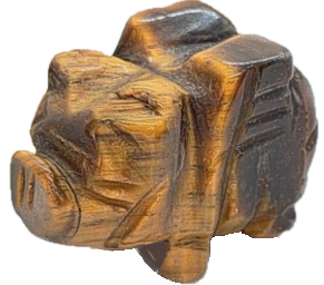 Tigers eye mini pig 2 sians emporium Tigers eye mini pig 2