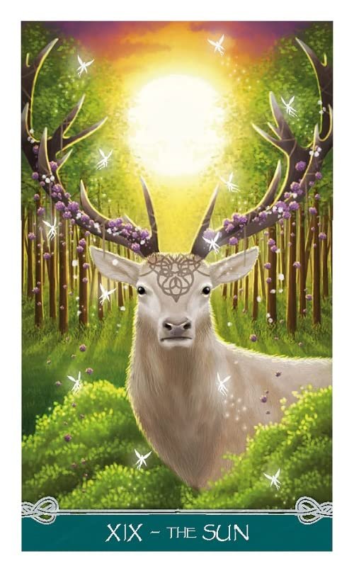 Universal celtic tarot 3 sians emporium Universal celtic tarot 3