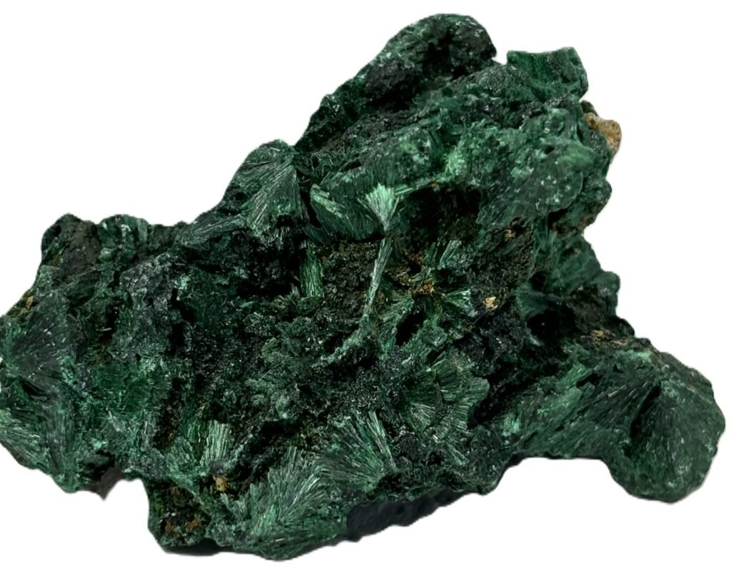 Velvet Malachite