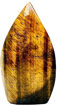 yellow tigers eye