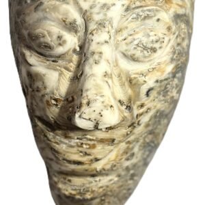 Oyster Face 1.1