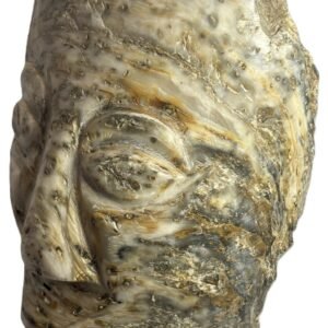 Oyster face 1 3