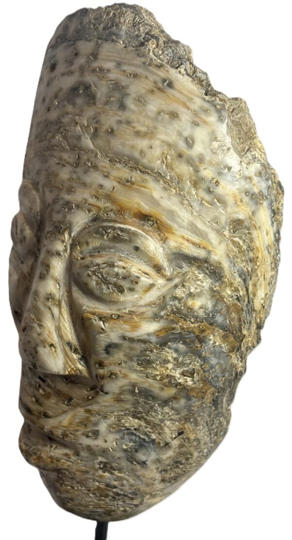 Oyster face 1 3 sians emporium Oyster face 1 3