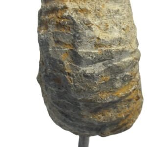 Ammonite stand 4 6 sians emporium Ammonite stand 4 6