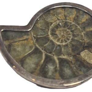 Ammonite pendant b 1 sians emporium Ammonite pendant b 1