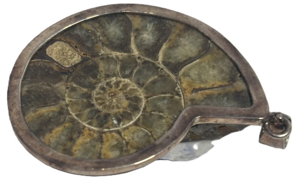 Ammonite pendant b 2 sians emporium Ammonite fossil pendant b 2
