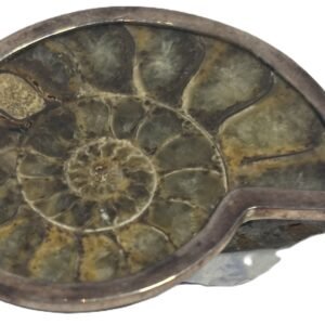 ammonite fossil pendant b..2