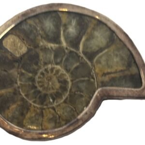 Ammonite pendant b 3 sians emporium Ammonite pendant b 3