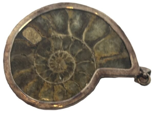 Ammonite pendant b 3 sians emporium Ammonite pendant b 3