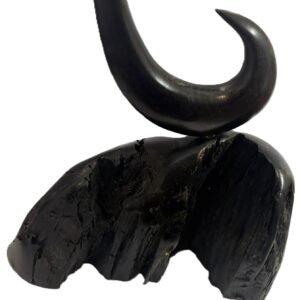 bog oak 2