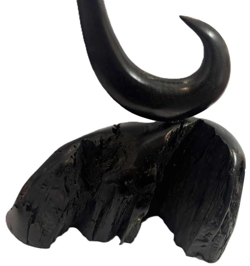 Fossilised wood