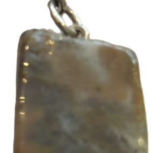 Coprolite 1 sians emporium Coprolite 1