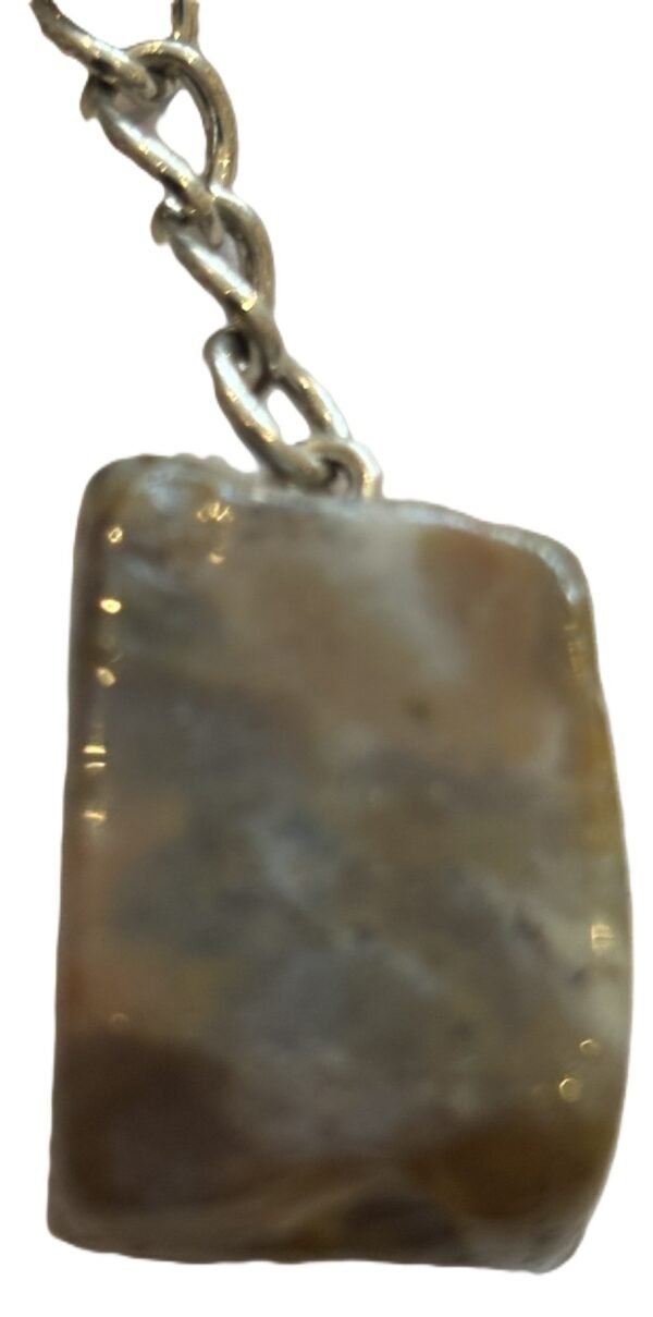 Coprolite 1 sians emporium Coprolite 1