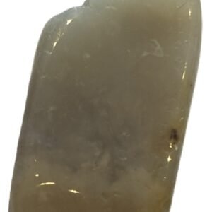 Coprolite 3 sians emporium Coprolite 3