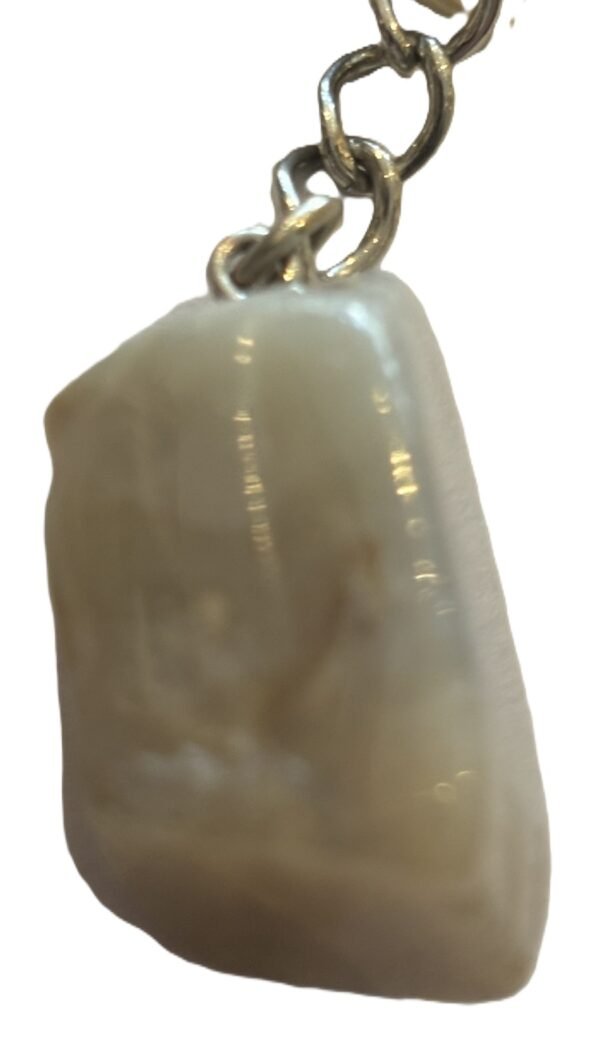 Coprolite 4 sians emporium Coprolite 4