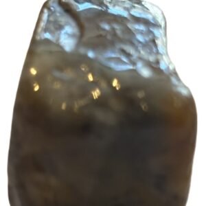 Coprolite 5 sians emporium Coprolite 5