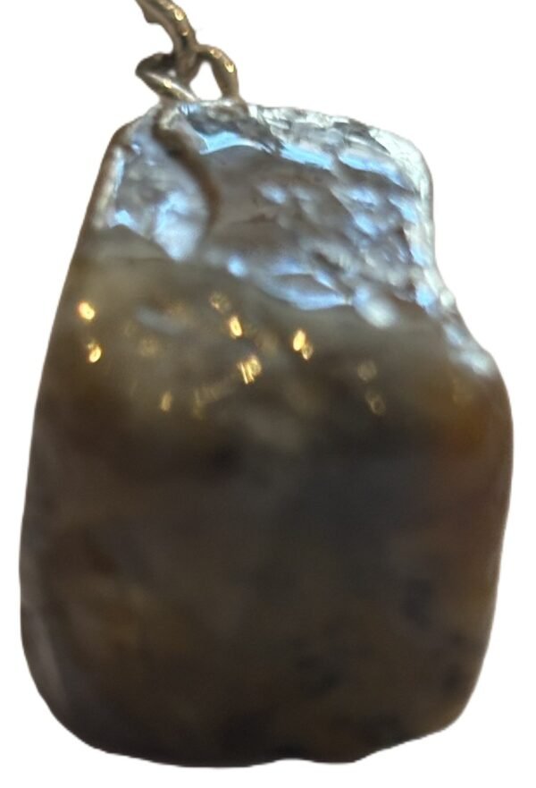 Coprolite 5 sians emporium Coprolite 5