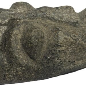 Mastodon bone face e1 sians emporium Mastodon bone face e1