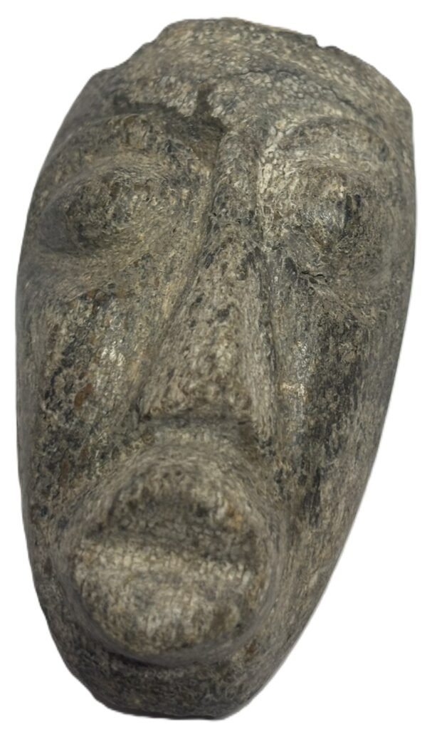 Mastodon bone face e2 sians emporium Mastodon bone face e2