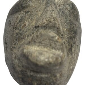 Mastodon bone face e4 sians emporium Mastodon bone face e4